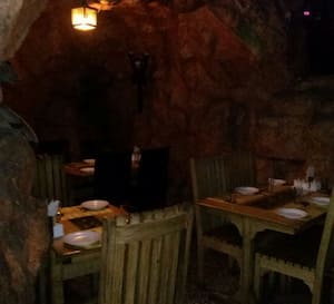 Rain Forest, Adyar, Chennai | Zomato Rain Forest, Adyar, Chennai | Zomato